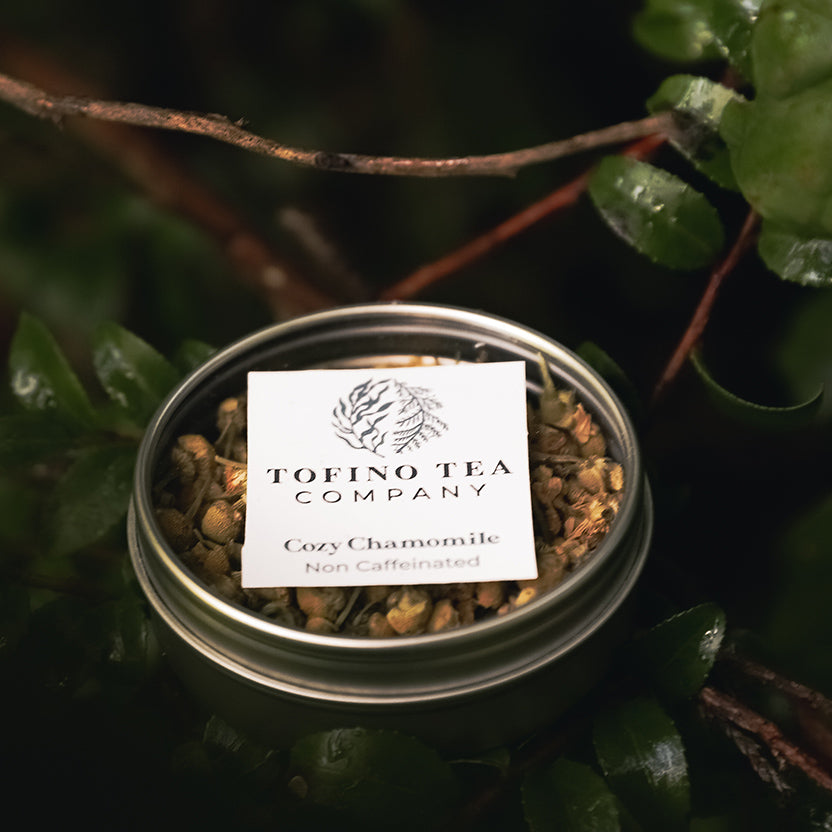 Cozy Chamomile