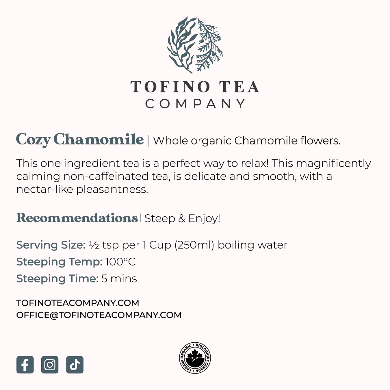 Cozy Chamomile