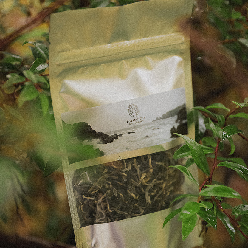 Old Growth Green Tea