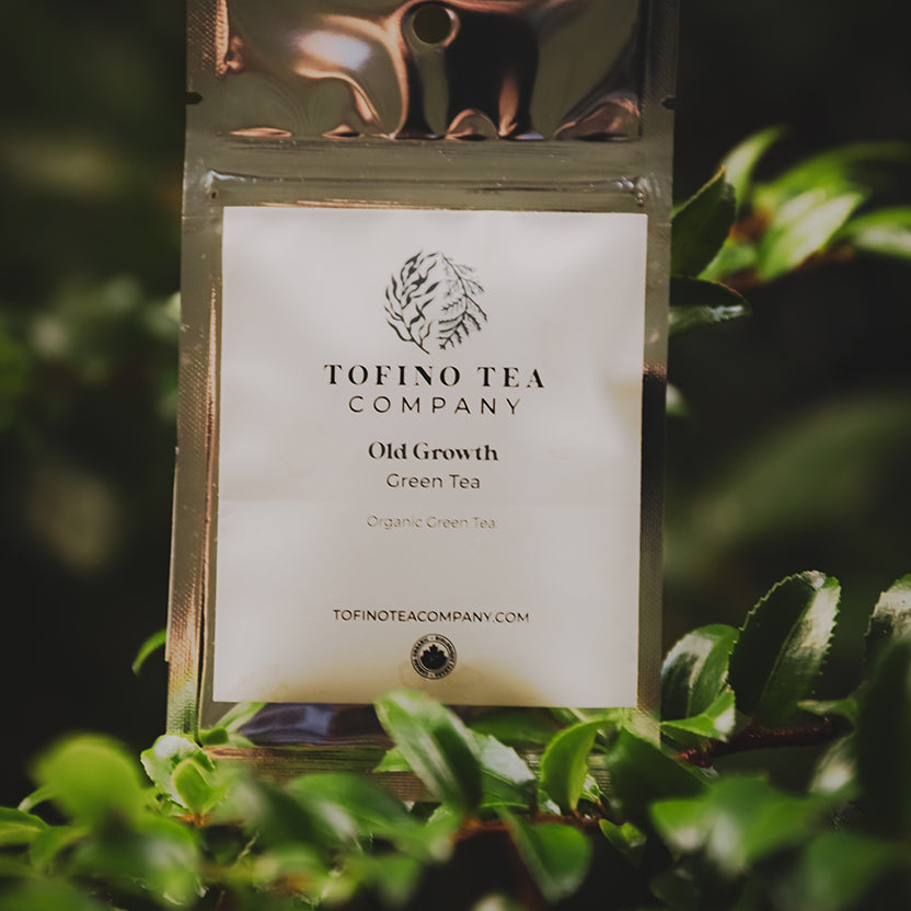 Old Growth Green Tea